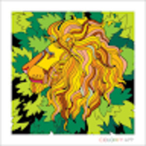 Meet your Posher, Krissy